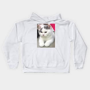 the chubby white cats Kids Hoodie